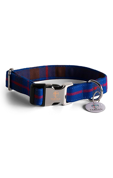 Dog Collar
