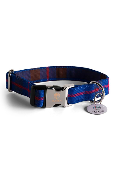 Dog Collar