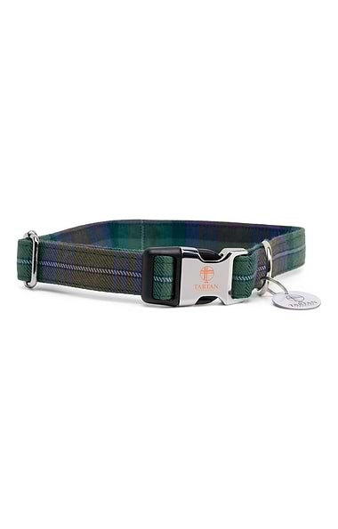 Dog Collar
