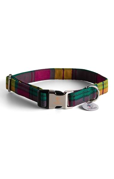 Dog Collar
