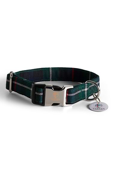 Dog Collar