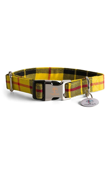 Dog Collar