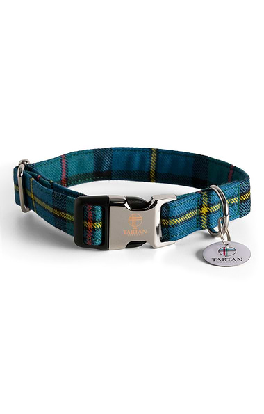 Dog Collar