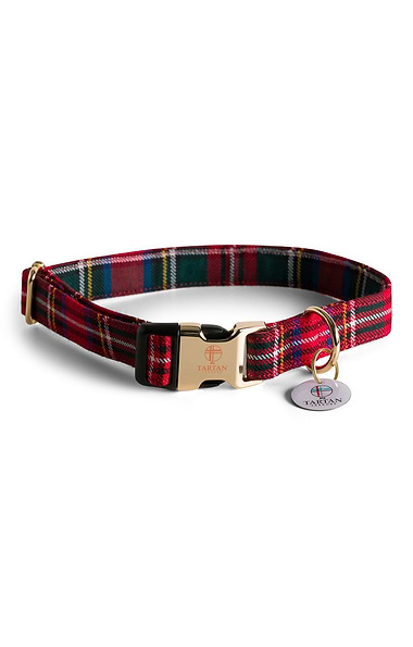 Dog Collar
