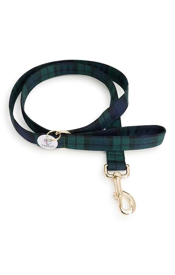Dog Lead