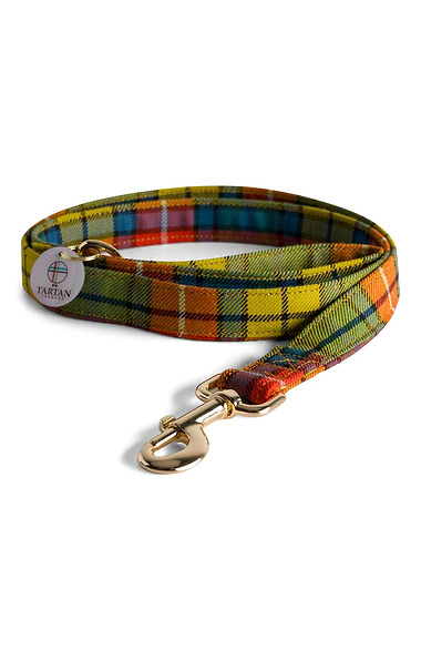 Dog Lead