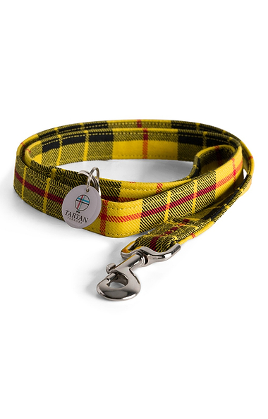 Dog Lead
