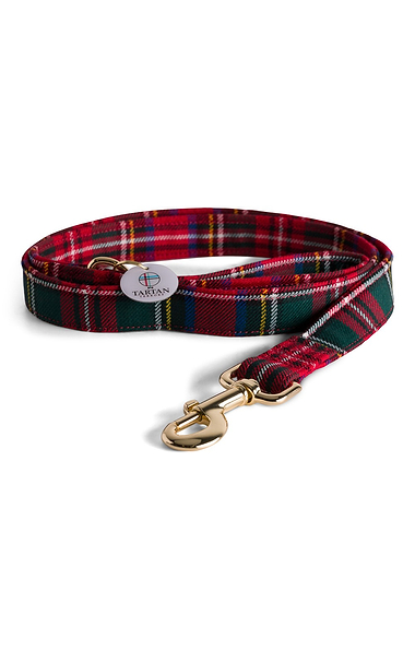 Dog Lead