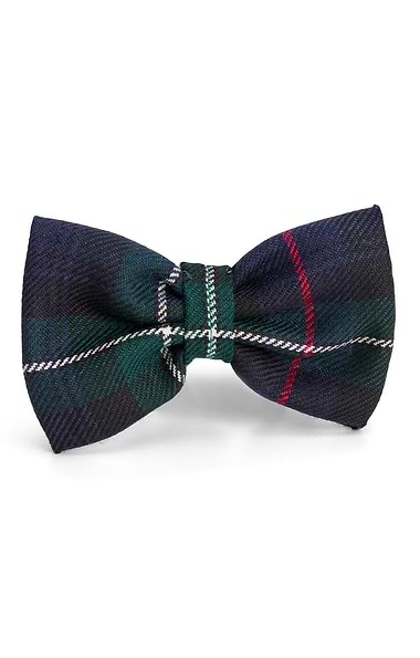 Dog Bow Tie