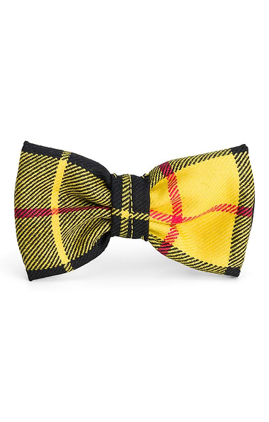 Dog Bow Tie