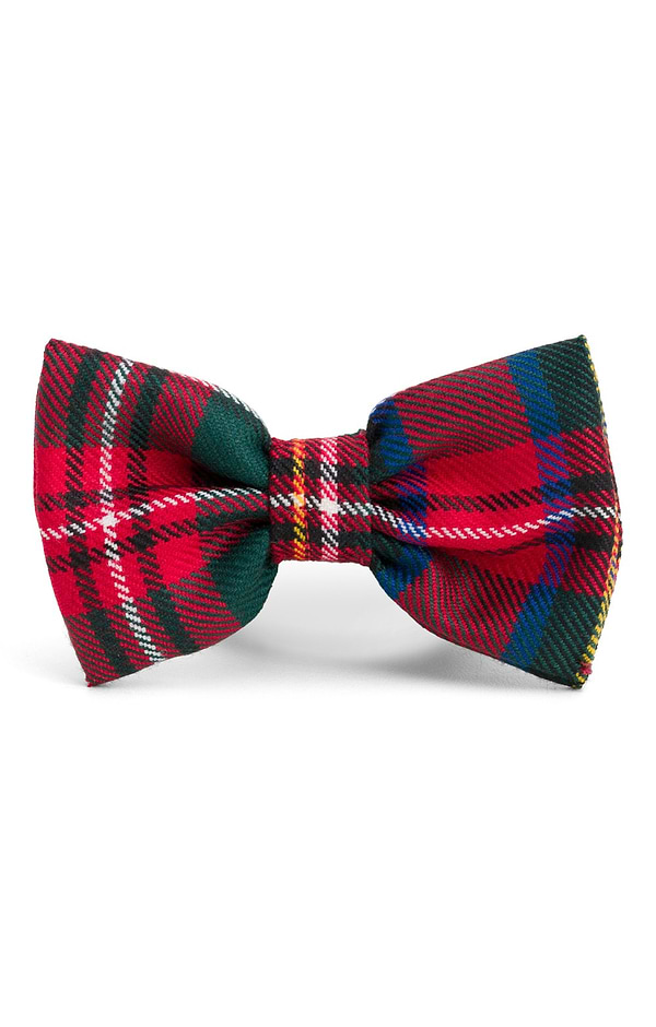 Dog Bow Tie