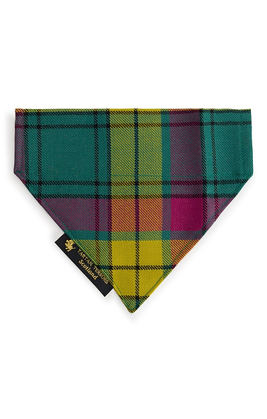 Dog Bandana
