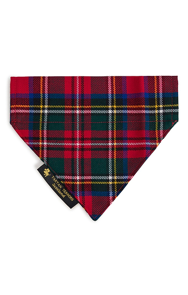Dog Bandana