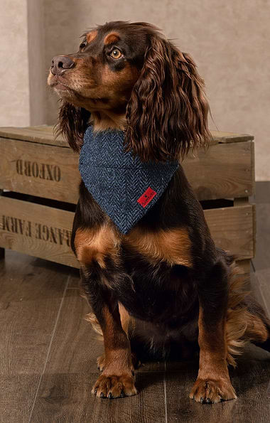 Harris Tweed® Dog Bandana