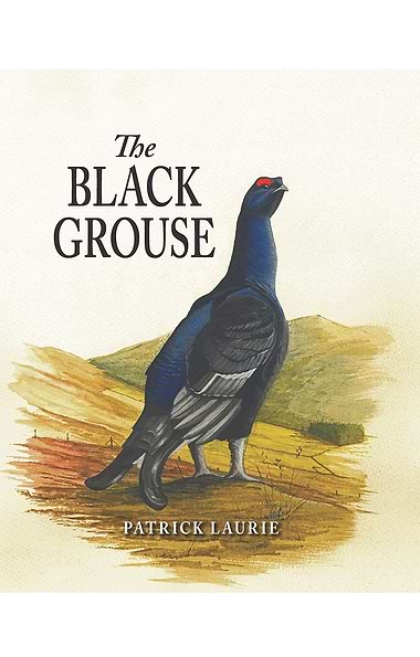 The Black Grouse by Patrick Laurie