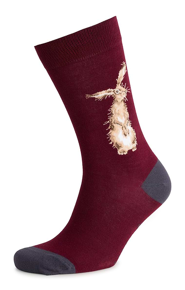 Wrendale Designs Men's Socks
