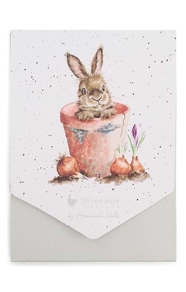 Illustrated Notecard Pack