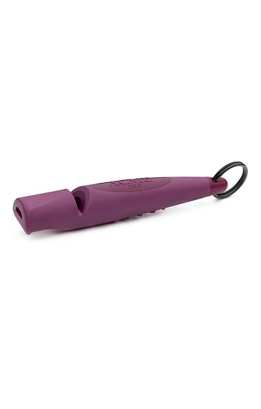 210.5 Dog Whistle Key Ring