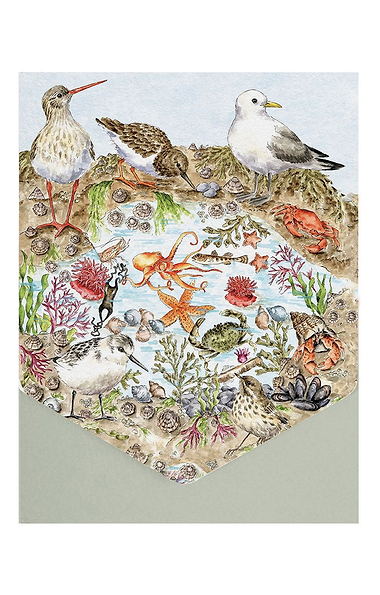 Wrendale Designs Nature Notecard Pack