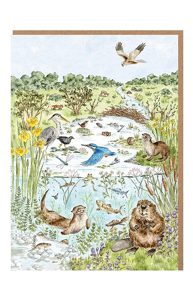 Wrendale Designs Nature Notecard Pack