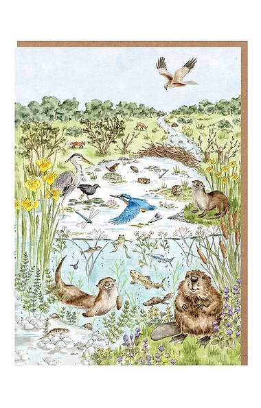 Wrendale Designs Nature Notecard Pack
