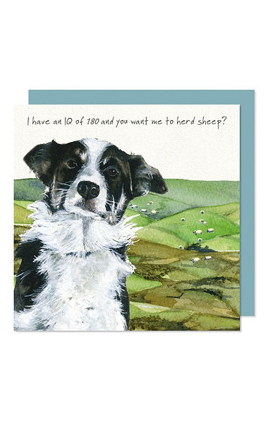 Dogs & Manor Greetings Card