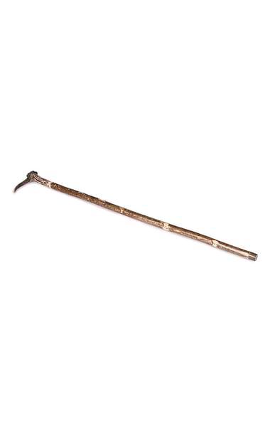 Horn Crown Stick