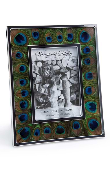 Silver Plated Real Feather 7x5in Photoframe