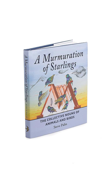 A Murmuration of Starlings by Steve Palin