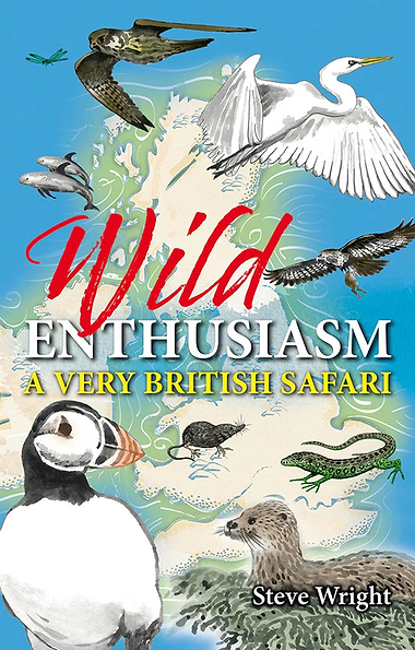 Wild Enthusiasm by Steve Wright