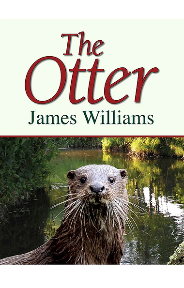 The Otter by James Williams