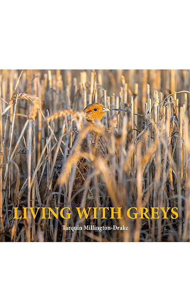 Living with Greys by Tarquin Millington-Drake