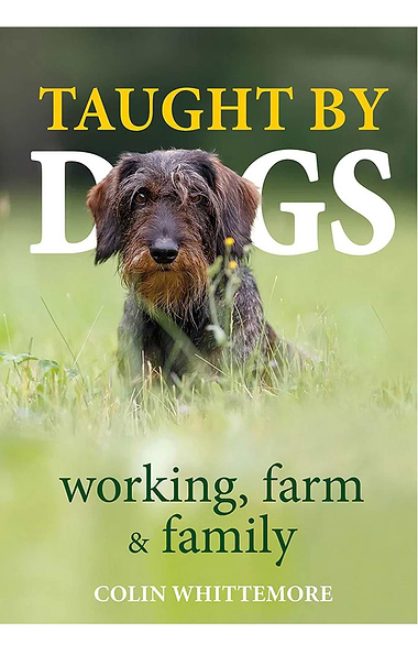 Taught by Dogs by Colin Whittemore