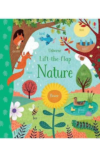 Usborne Lift The Flap Book