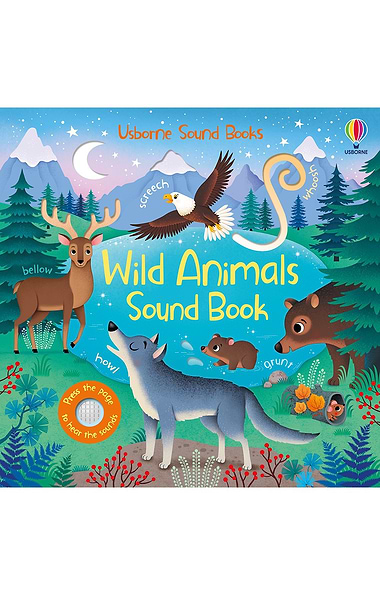 Usborne Sound Book