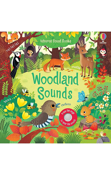Usborne Sound Book