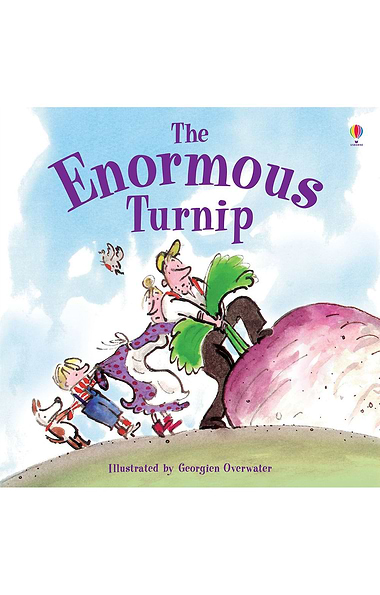 Usborne Picture Book
