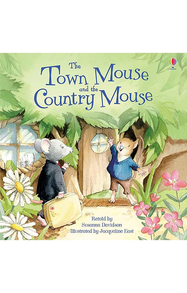 Usborne Picture Book