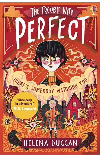 Usborne A Place Called Perfect