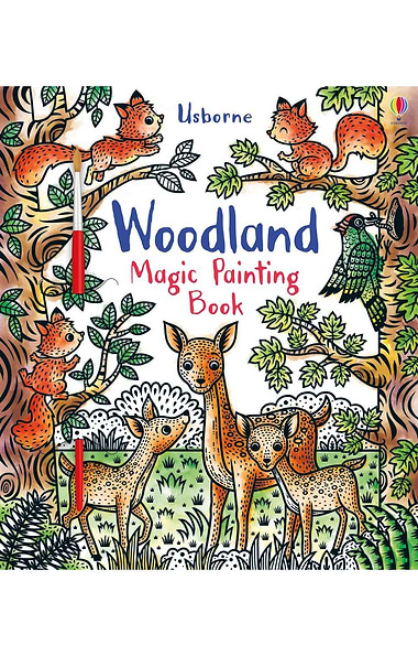 Usborne Magic Painting Book