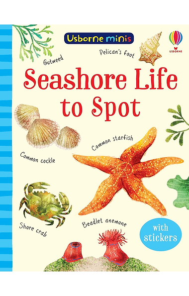Usborne Mini To Spot Books