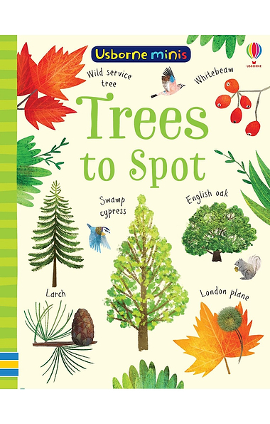 Usborne Mini To Spot Books