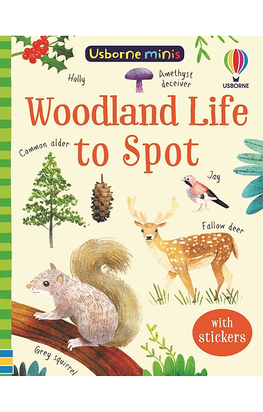 Usborne Mini To Spot Books