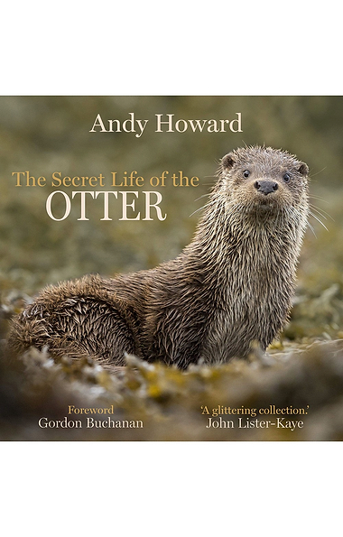 The Secret Life Of The Otter
