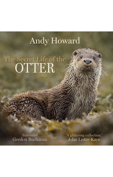 The Secret Life Of The Otter