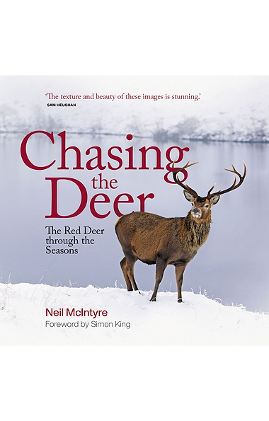Chasing The Deer