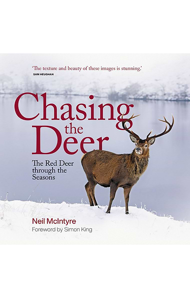Chasing The Deer