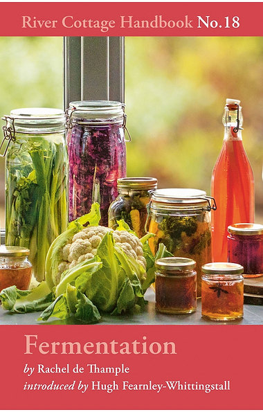 River Cottage Handbook: Fermentation