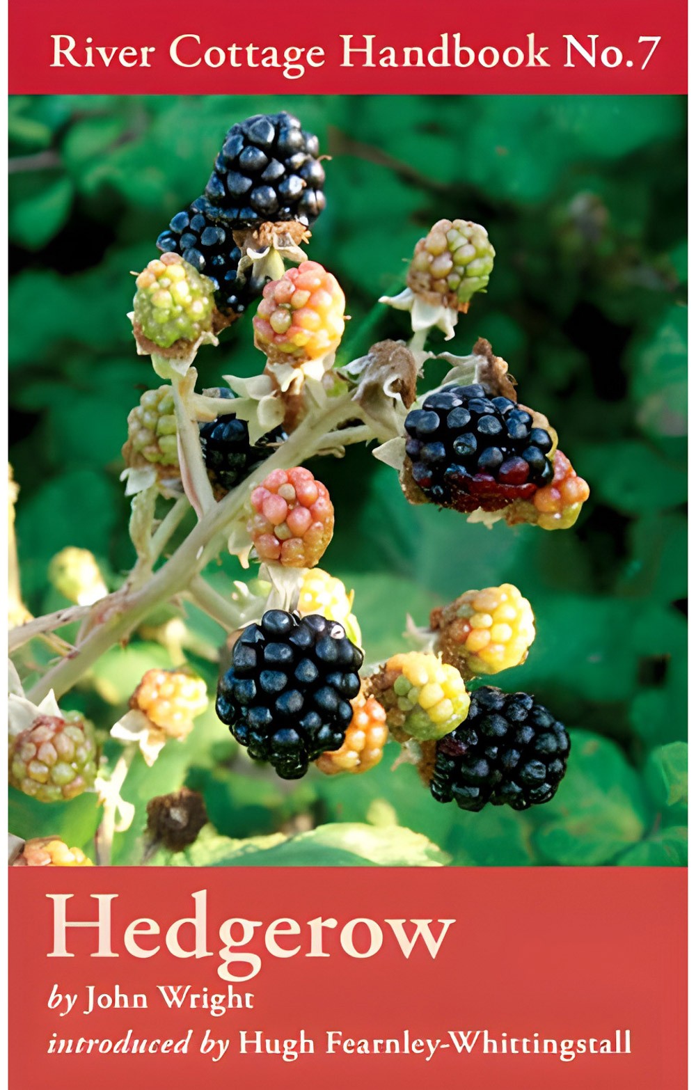 River Cottage Handbook: Hedgerow