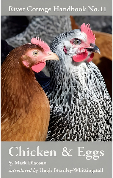 River Cottage Handbook: Chicken & Eggs